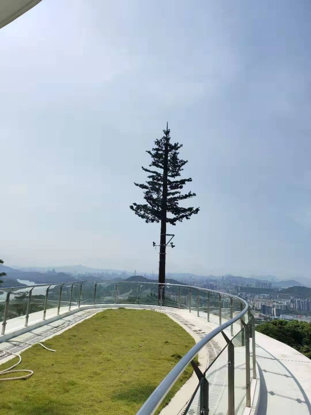 雁西湖景区仿真树避雷针